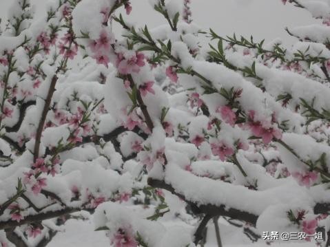 今日科普一下！香港九龙精准特网站,百科词条爱好_2024最新更新